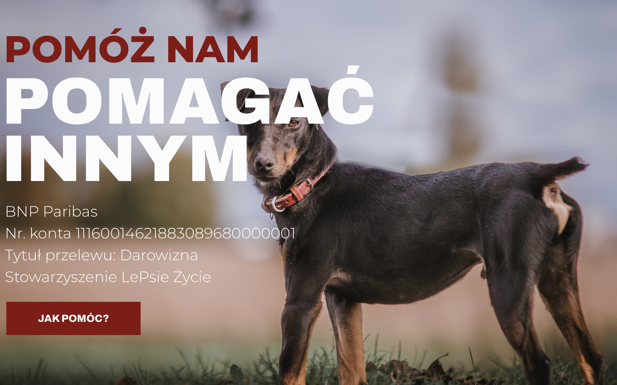 Pomóż nam pomagać innym